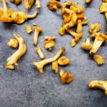 kurki gonić marzenia