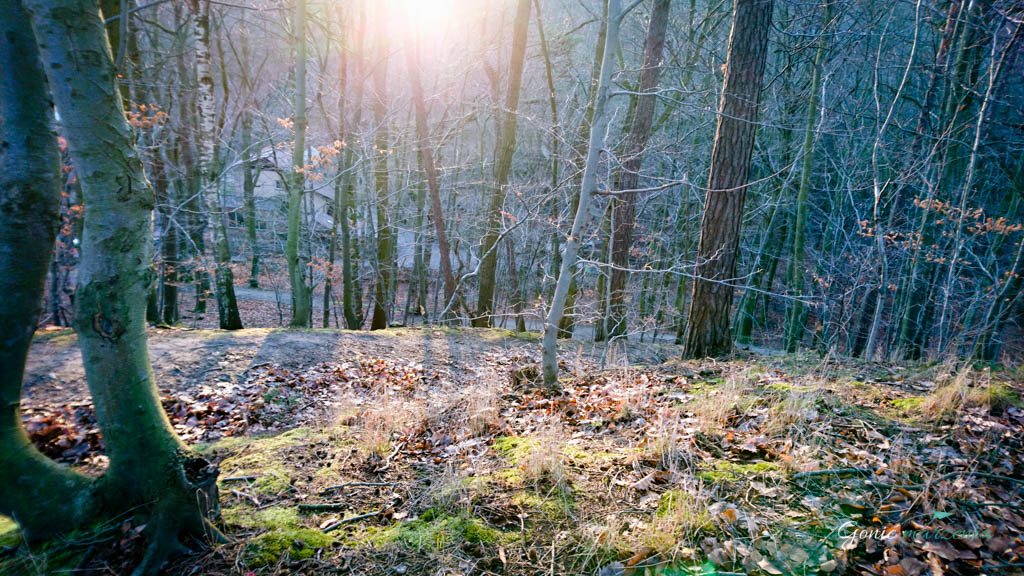 one little word, czyli jedno słowo na 2018 rok